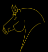 Warwickshire Livery and Equine Pool - 07798 765 699